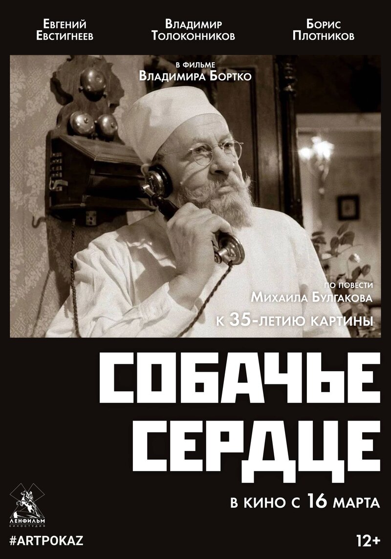 sobache-serdce-2