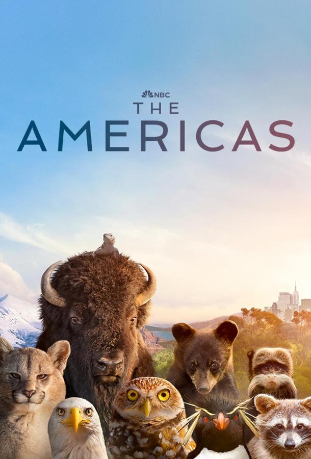 severnaya-i-yuzhnaya-ameriki