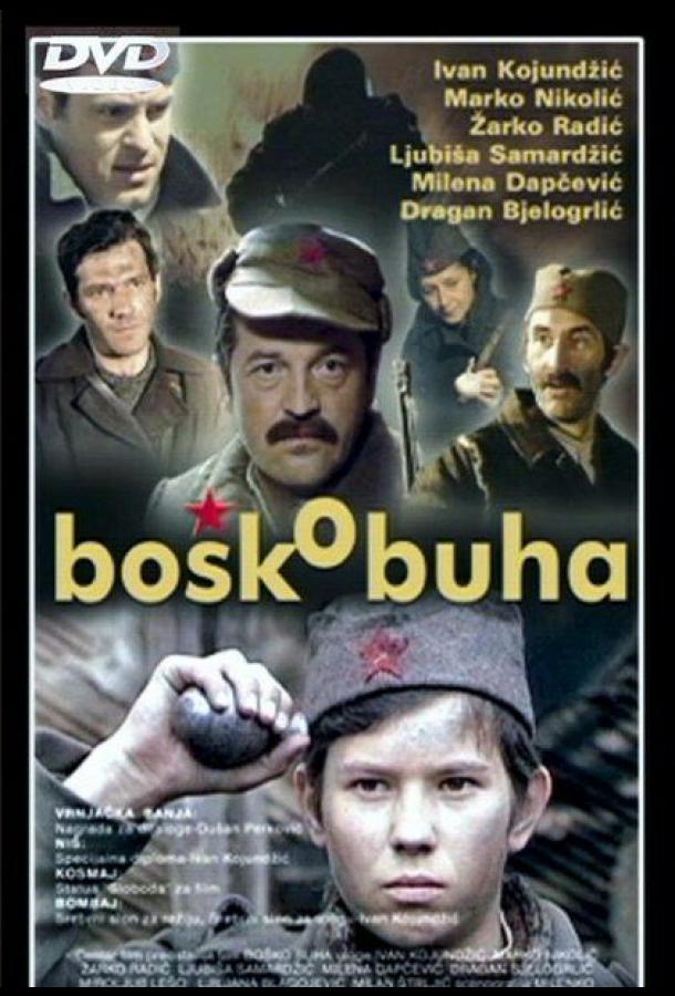 boshko-buha