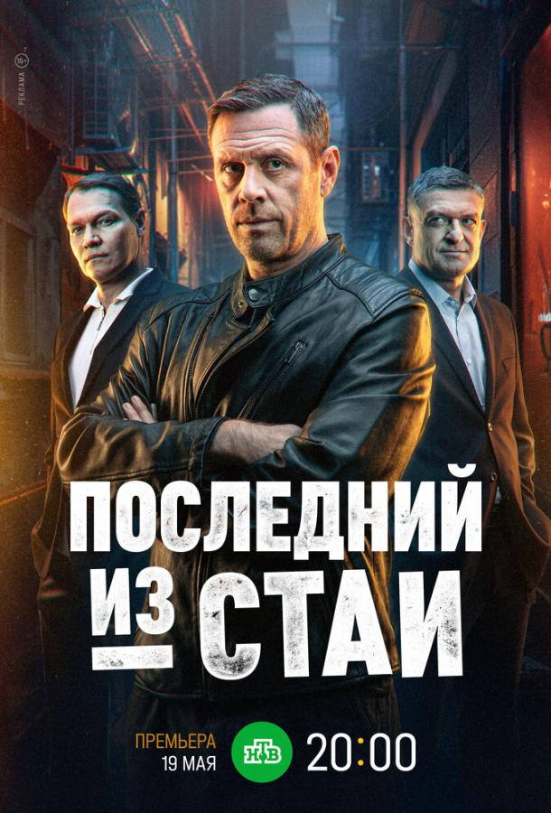 posledniy-iz-stai
