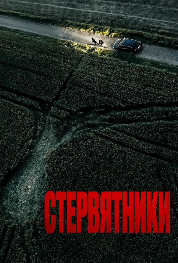 stervyatniki-2