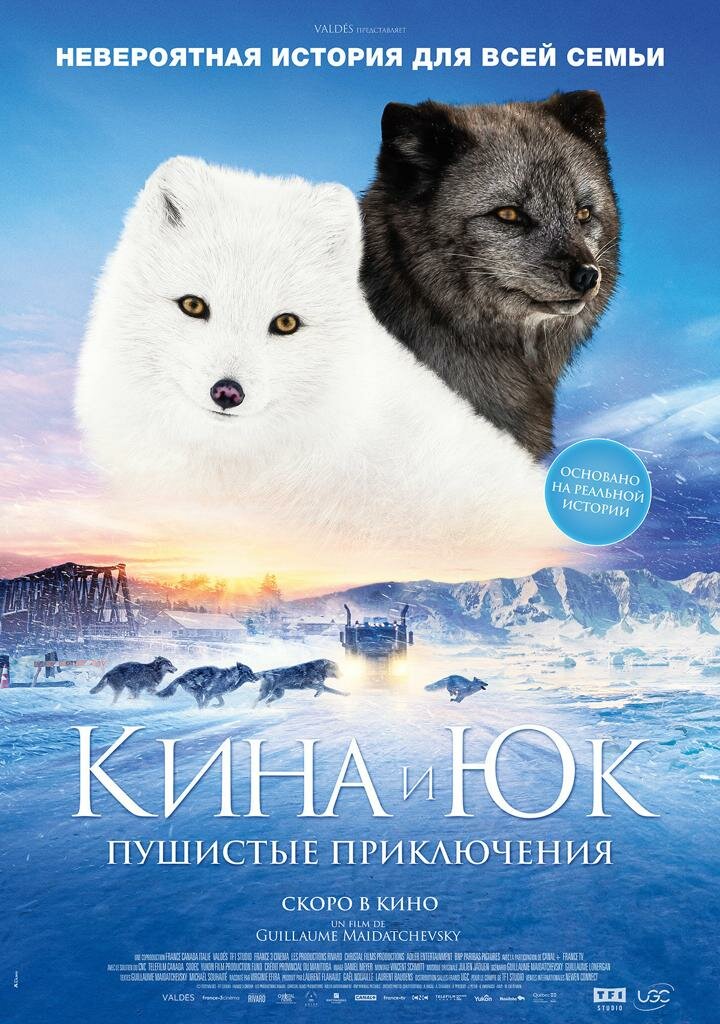 kina-i-yuk-pushistye-priklyucheniya
