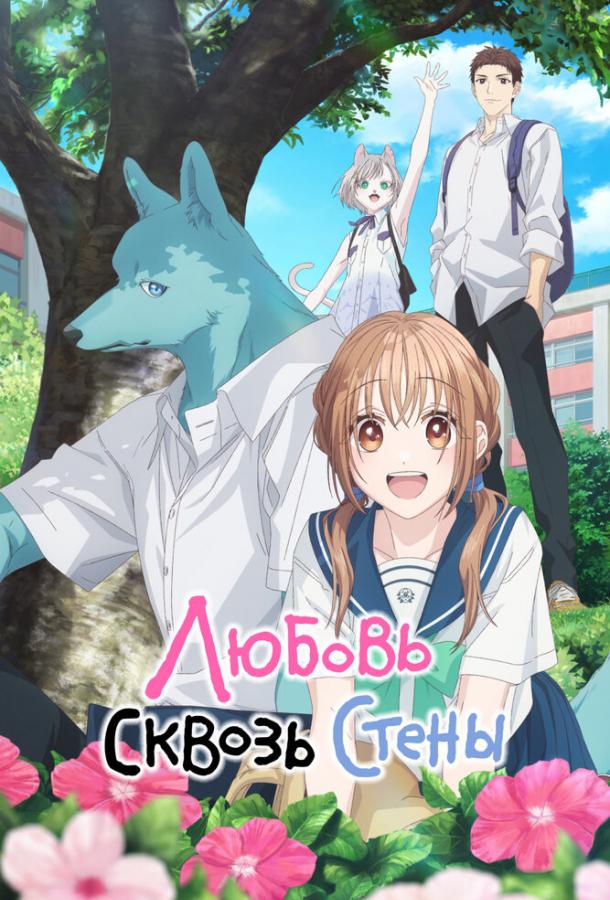 lyubov-skvoz-steny