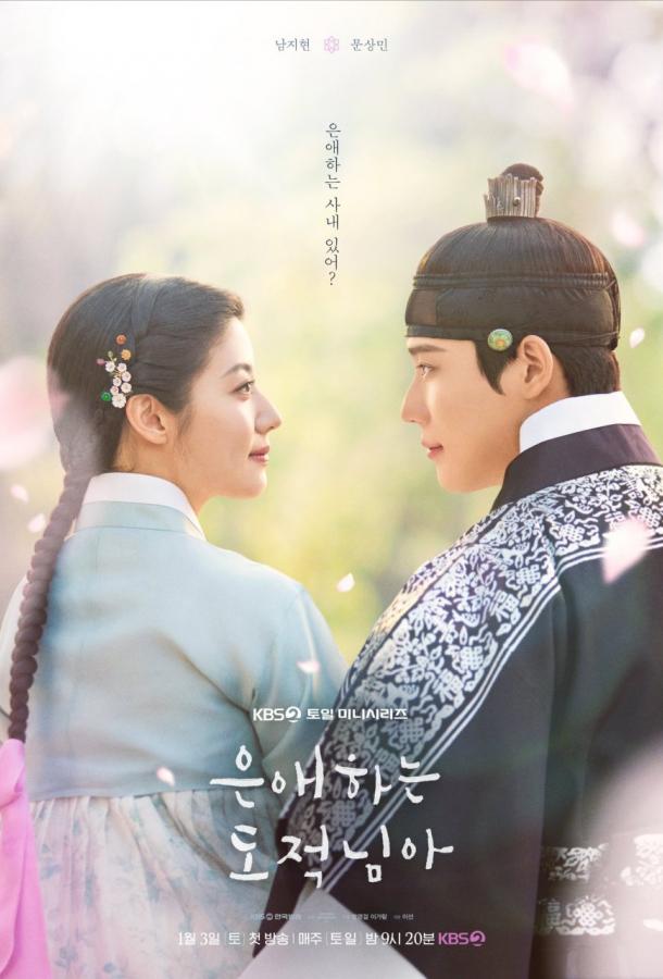 moya-lyubimaya-vorovka