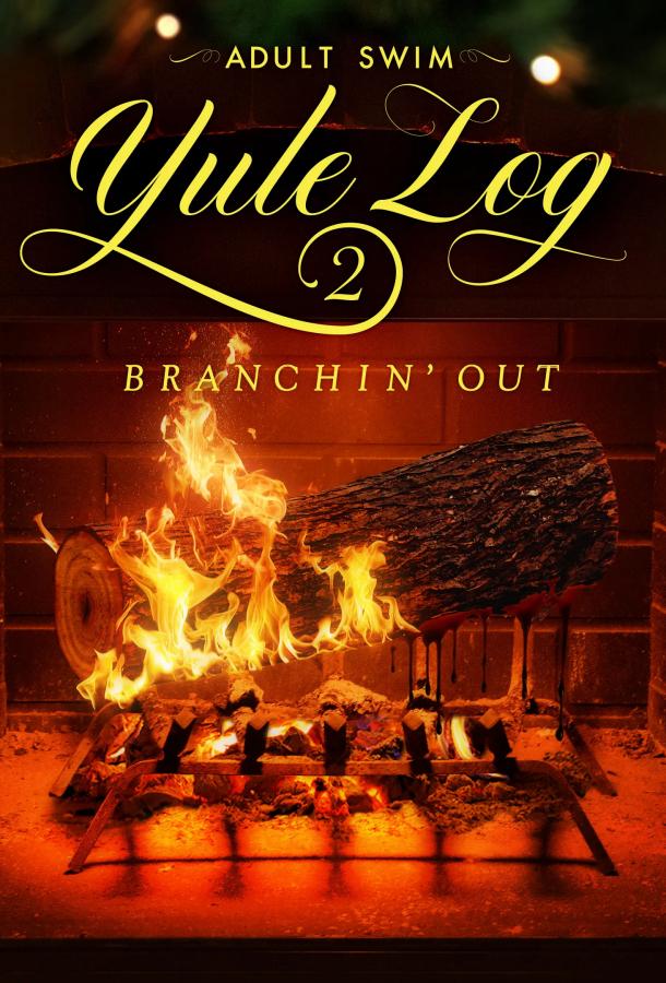 adult-swim-svyatochnoe-poleno-2-rasshirenie
