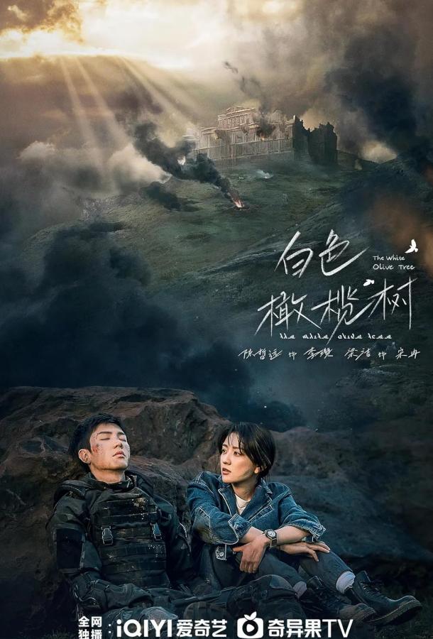 beloe-olivkovoe-derevo