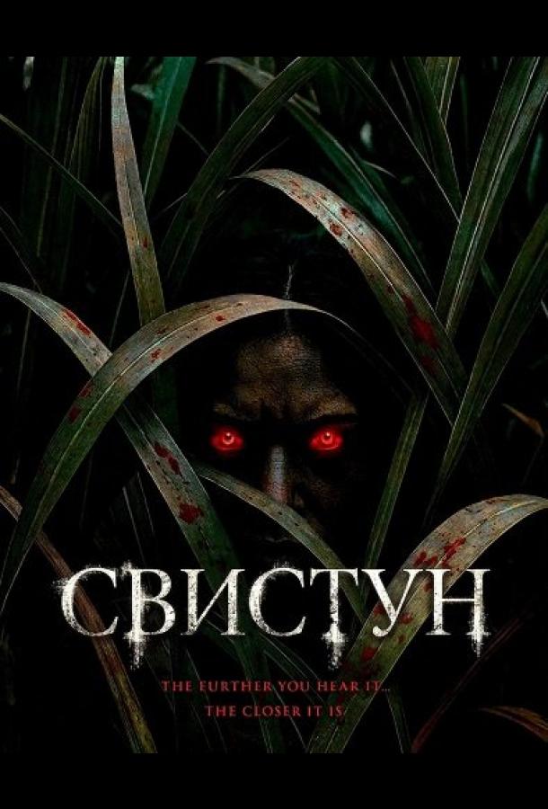 svistun